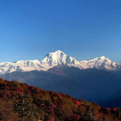 Annapurna Region