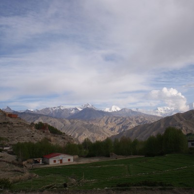 Upper mustang