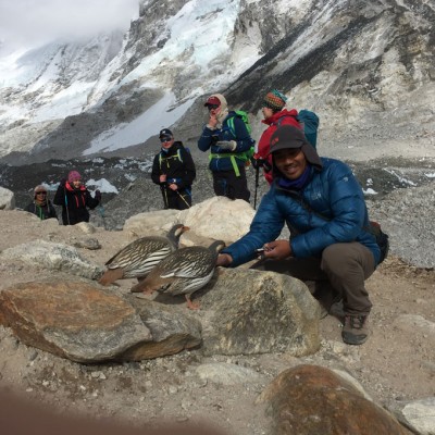Gokyo Everest Base Camp and Kalapather Trek